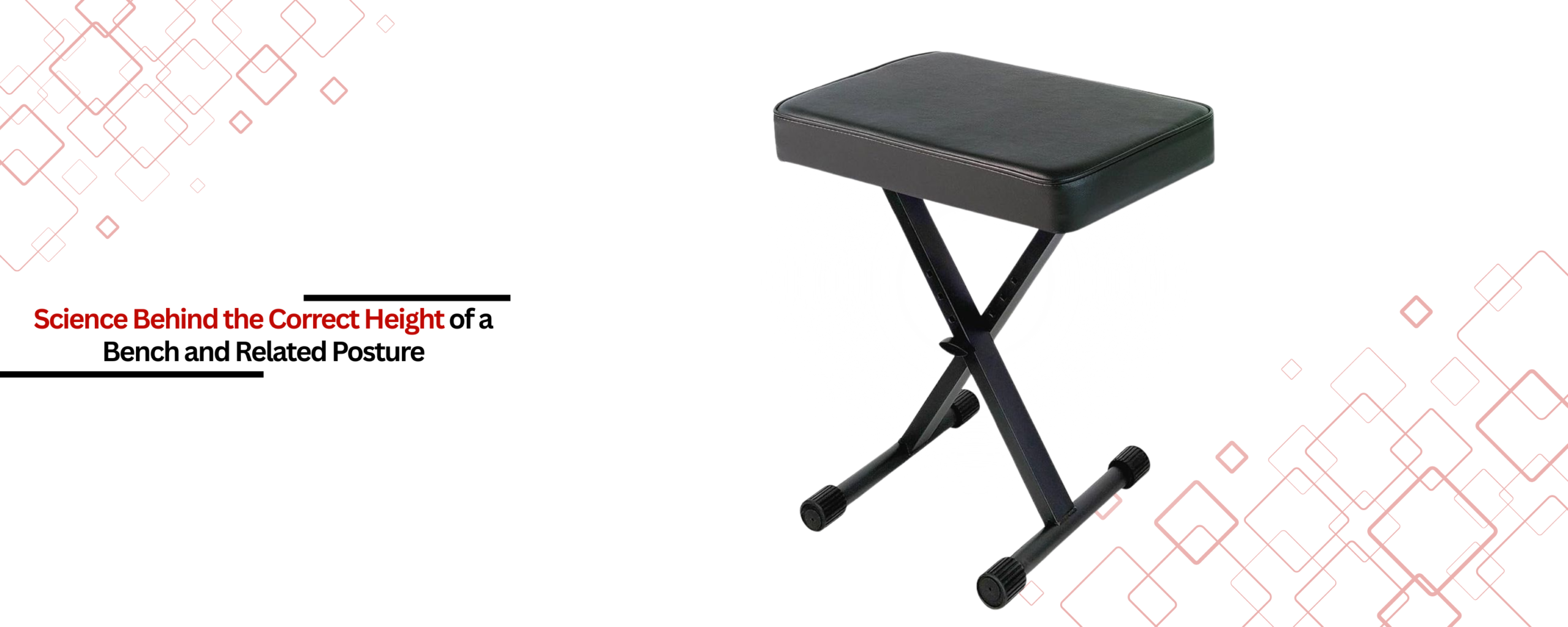 The Science Behind the Correct Height of a Bench and Related Posture