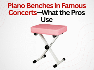piano benches in famous concerts - what the pros use
