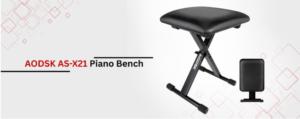 AODSK AS-X21 Piano Bench